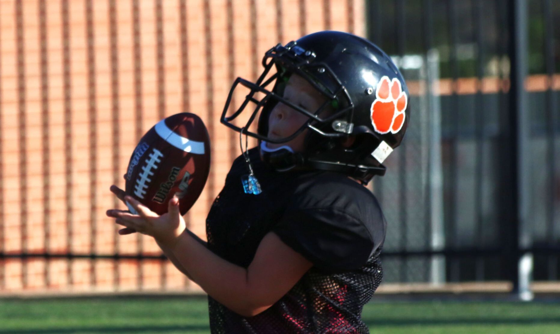 2020 Young Tiger Football Camp